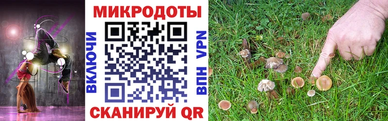 Галлюциногенные грибы Cubensis Тюкалинск